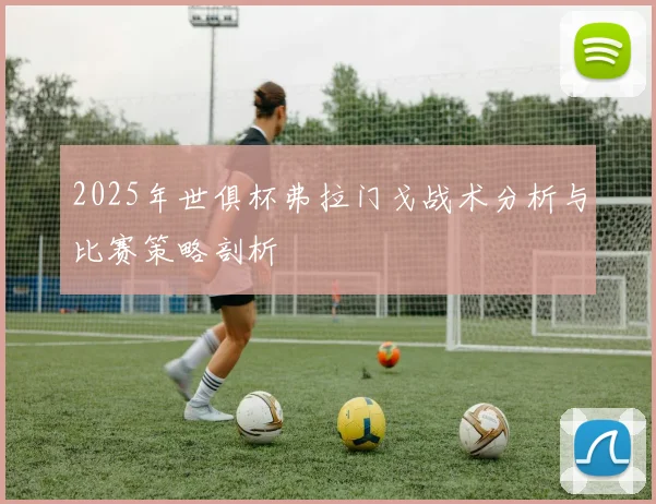 2025年世俱杯弗拉门戈战术分析与比赛策略剖析