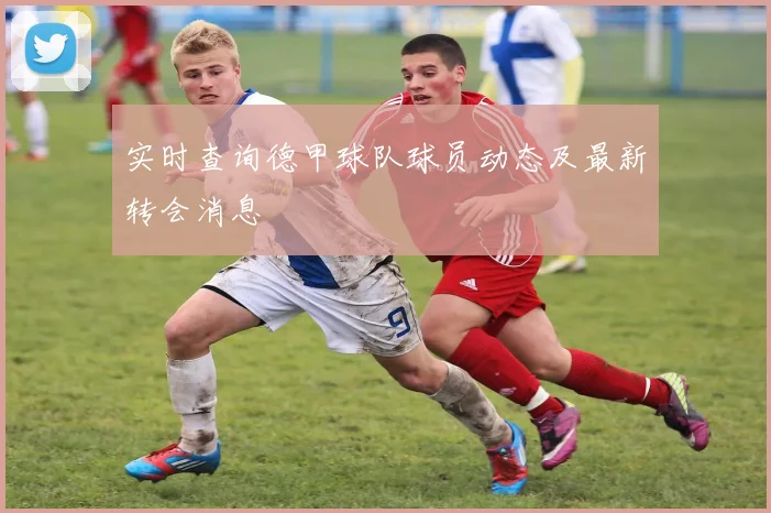 实时查询德甲球队球员动态及最新转会消息